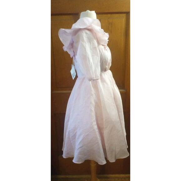 J.ING Taylor Swift Eras Tour Lover Dress Pink Mini Dress NWT Women Sz S Swifty - Picture 7 of 13